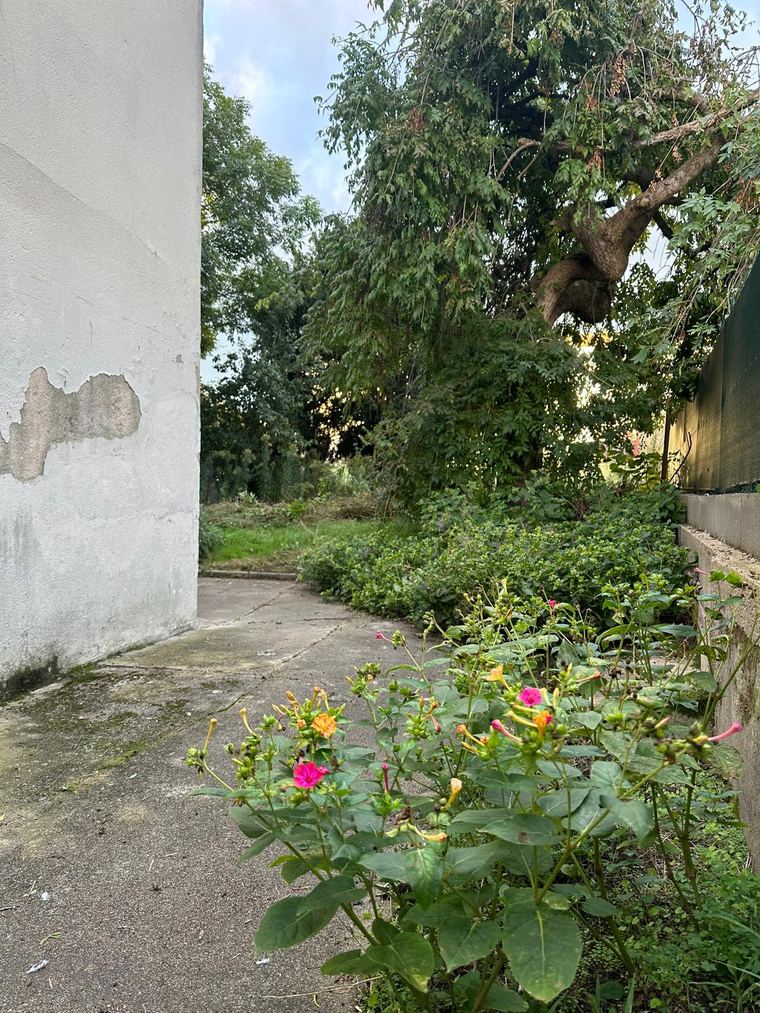 Appartement Roanne 49 M2 — photo